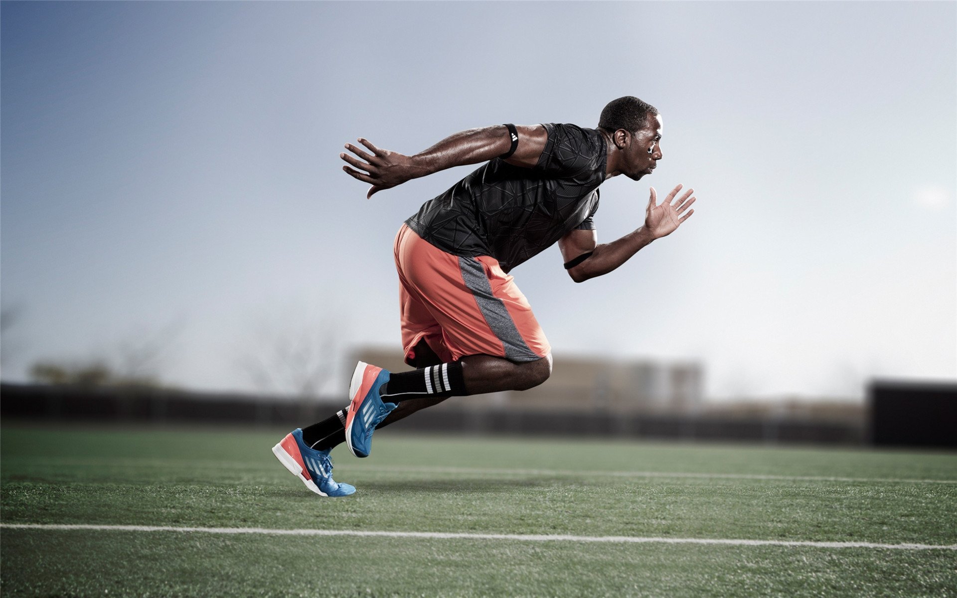 布莱顿进攻端火力凶猛,海鸥军团争夺欧战,布莱顿为什么叫海鸥