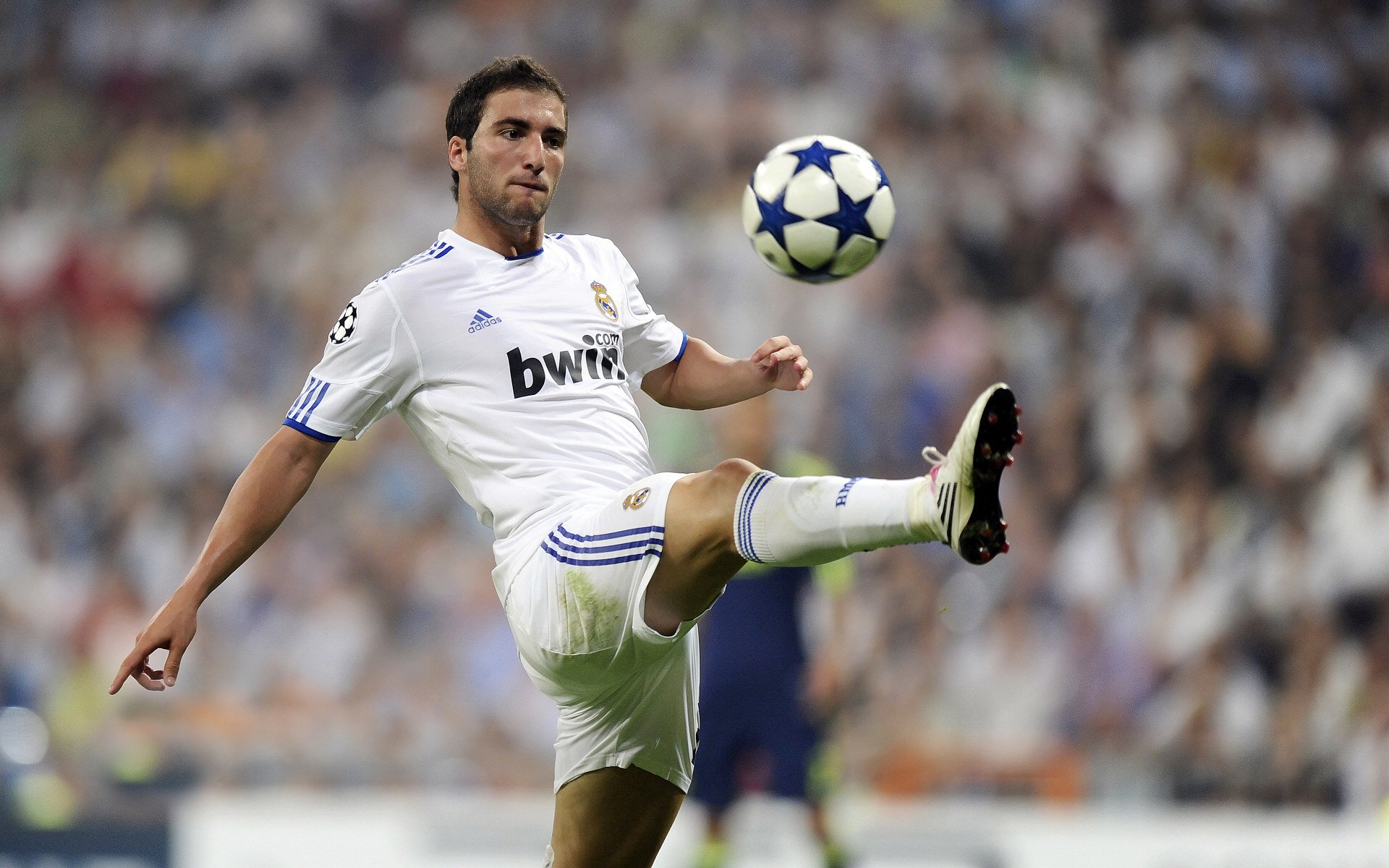 欧洲NBA球员大放异彩,引来更多球迷追捧,2020nba欧洲球员